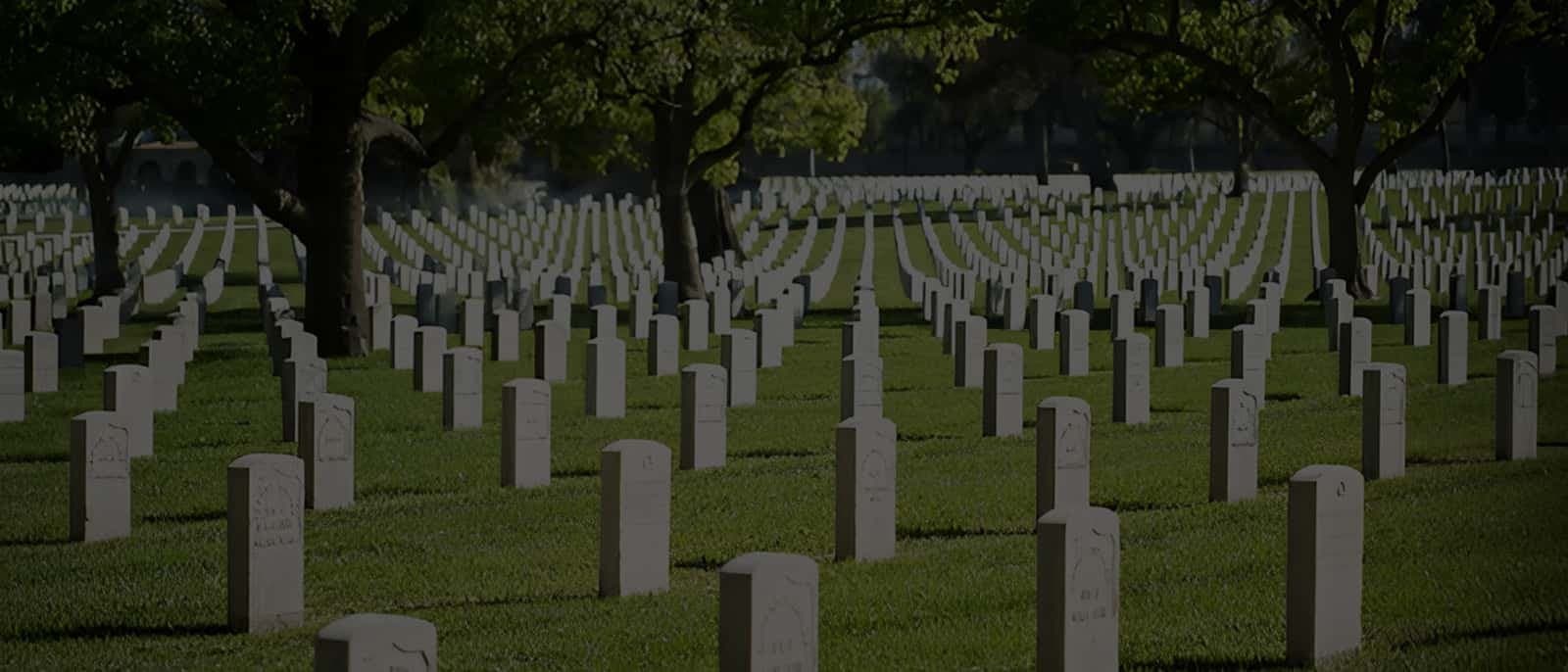 Rows of memorial headstones beneath trees